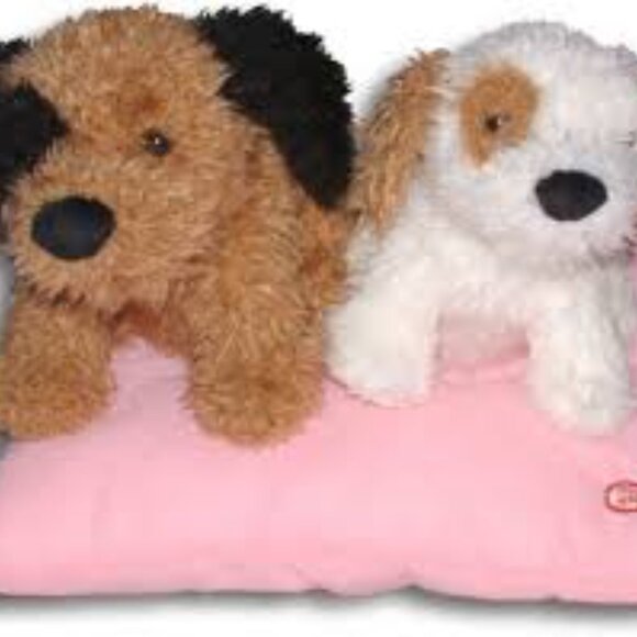 gfhd - Picture 8 of 16